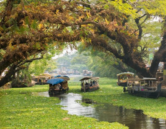 Alappuzha