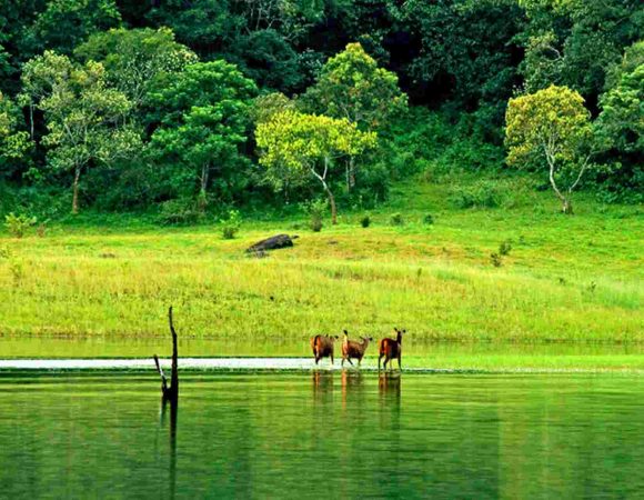 Thekkady