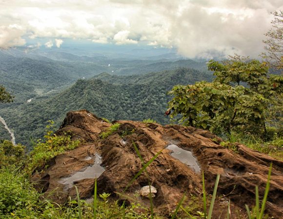 Kozhikode 