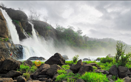 Cochin – Munnar – Thekkady – Alleppey(Houseboat)- Cochin